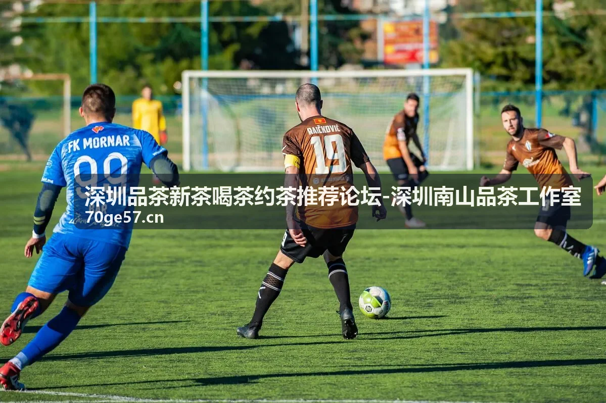 深圳南山品茶工作室 茶艺师伴泡服务